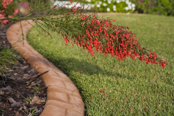 Brick Edging in Sioux Falls